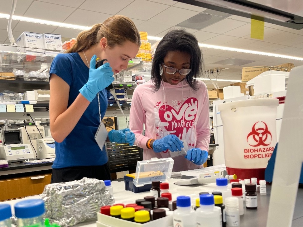 High school-aged teens enjoy hands-on neuroscience experiments in NKU's laboratory.