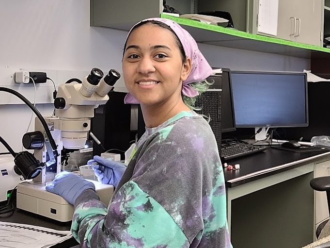NKU Biological Sciences major conducts research in the lab.