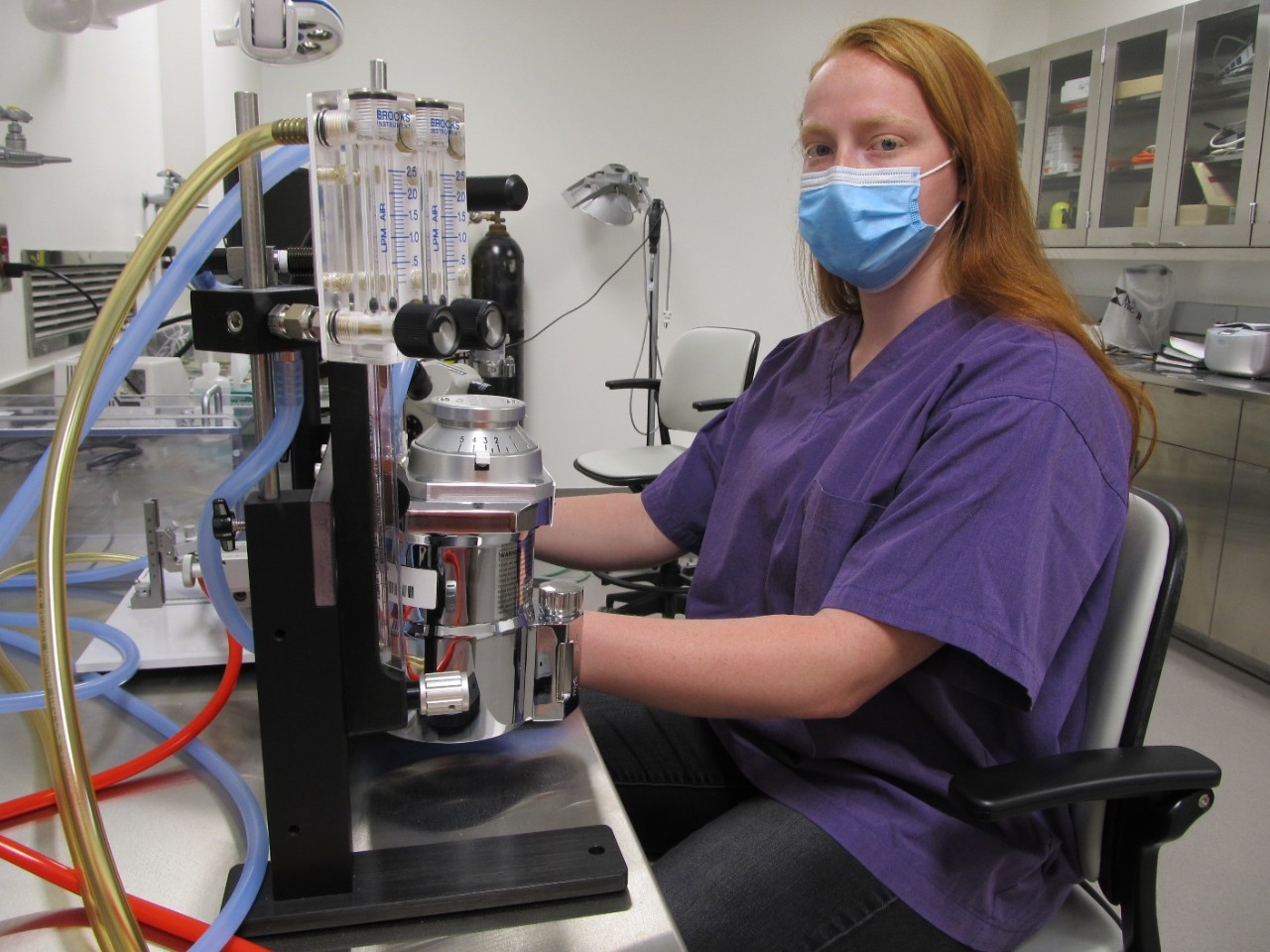 Tori Ferguson undergraduate research