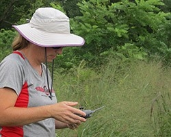 Dr. Denice Robertson