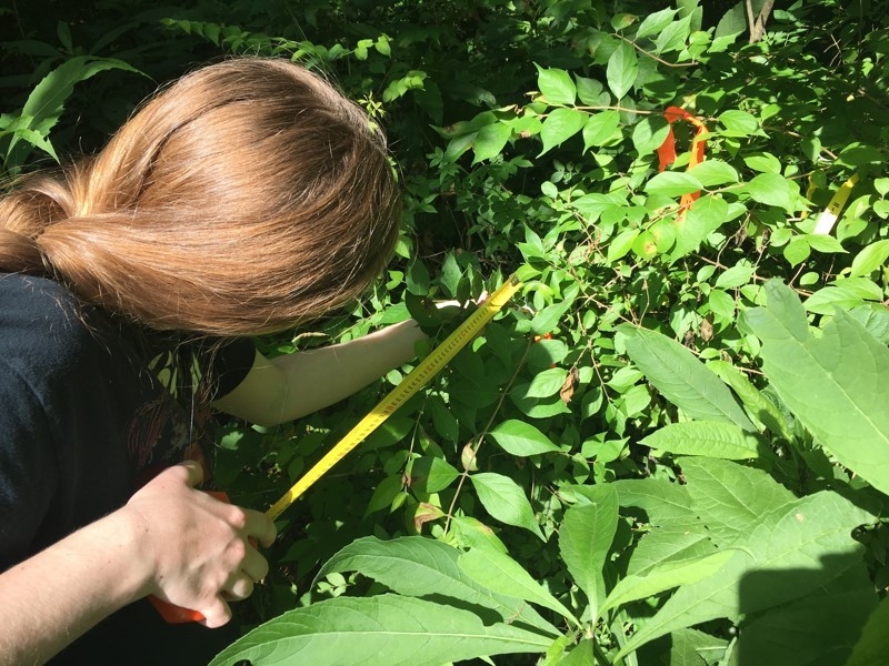 NKU Environmental Science Students