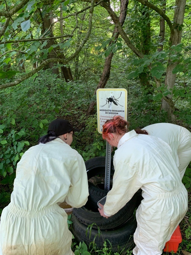 Dr. Allison Parker's field team Dr. Allison Parker's field team